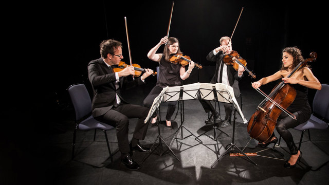 Carducci Quartet - Two men, two women against a dark background performing on string instruments