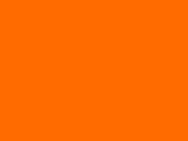 Whole lotta orange