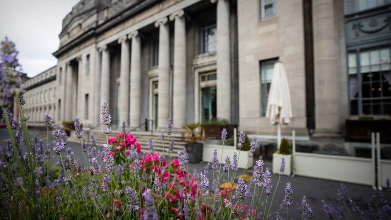 Outdoor image of out of focus NCH building with pink & purple flowers in the foreground