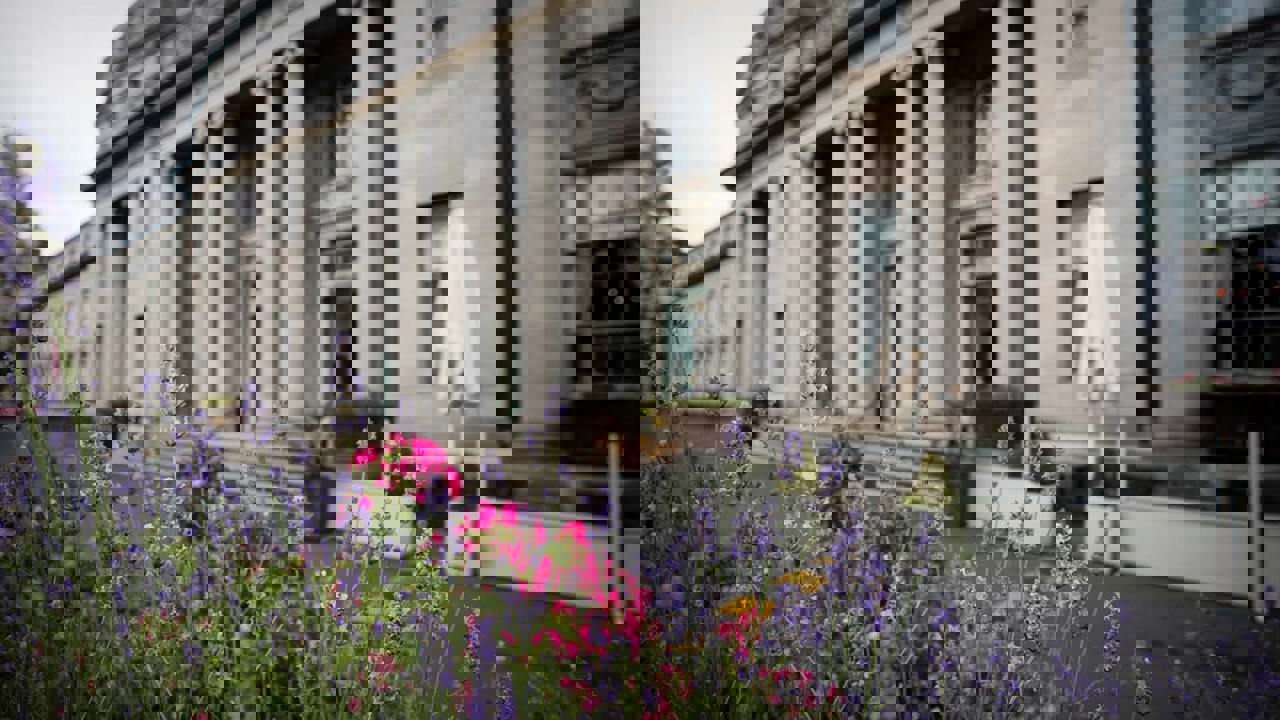 Outdoor image of out of focus NCH building with pink & purple flowers in the foreground